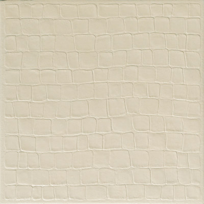 柔和面浅黄鳄鱼纹